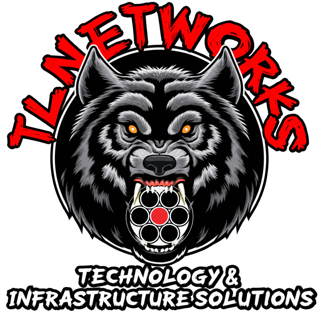 TL Networks — Technology & Infrastructure Solutions